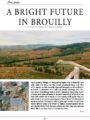 Icon of Fine Wine 2019 12 01 A Bright Future In Brouilly