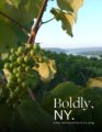 Icon of PressKitNewYork Wines2020