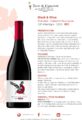 Icon of Black E Wine Marselan   Cabernet Sauvignon IGP Atlantique Rouge 2022-ENG