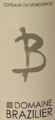 Icon of Brazilier Tradition